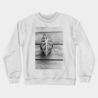 Alocasia Polly Crewneck Sweatshirt